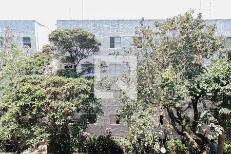 Apartamento para alugar com 58m², 2 quartos e 1 vagaVista do Quarto 2