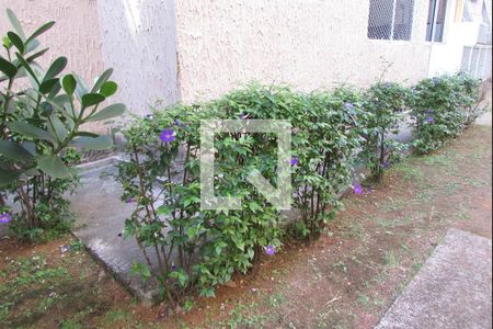 Apartamento para alugar com 50m², 2 quartos e 1 vagaJardim
