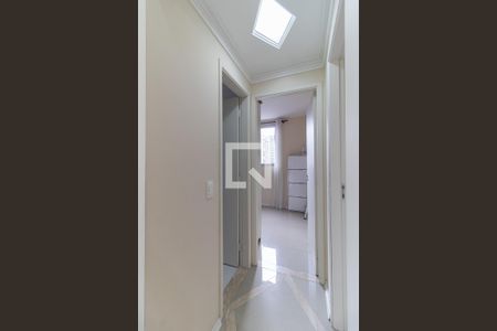 Corredor de apartamento para alugar com 2 quartos, 61m² em Vila Santa Teresa (zona Sul), São Paulo