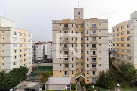 Vista da Sala de apartamento para alugar com 2 quartos, 61m² em Vila Santa Teresa (zona Sul), São Paulo