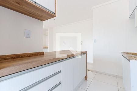 Cozinha de apartamento para alugar com 1 quarto, 30m² em Vila Mazzei, São Paulo