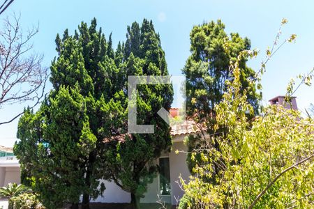 Apartamento à venda com 670m², 6 quartos e 6 vagas Apartamento à venda com 670m², 6 quartos e 6 vagasVista da Rua