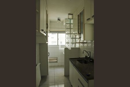 Apartamento para alugar com 2 quartos, 49m² em Vila Santa Teresa (zona Sul), São Paulo