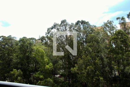 Apartamento para alugar com 2 quartos, 49m² em Vila Santa Teresa (zona Sul), São Paulo