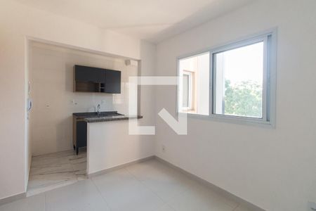Sala de apartamento para alugar com 2 quartos, 40m² em Vila Aricanduva, São Paulo