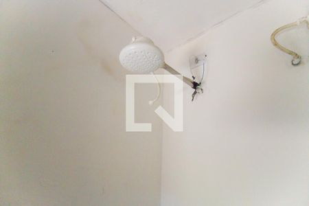 Banheiro de casa para alugar com 1 quarto, 40m² em Vila Norma, São Paulo