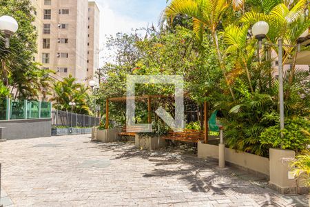 Apartamento para alugar com 67m², 3 quartos e 1 vaga Apartamento para alugar com 67m², 3 quartos e 1 vagaJardim