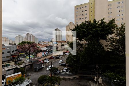 Apartamento para alugar com 67m², 3 quartos e 1 vaga Apartamento para alugar com 67m², 3 quartos e 1 vagaVista do Quarto 2