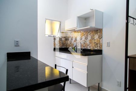 Cozinha de apartamento para alugar com 1 quarto, 24m² em Vila Fachini, São Paulo
