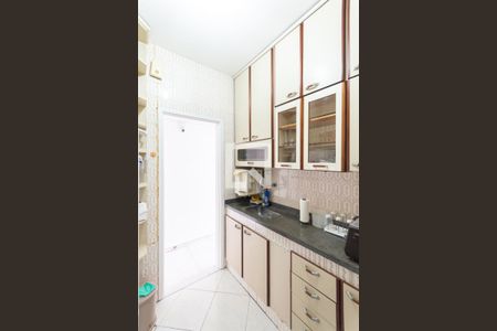 Cozinha e Área de Serviço de apartamento para alugar com 1 quarto, 37m² em Rio Comprido, Rio de Janeiro
