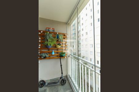 Varanda de apartamento para alugar com 3 quartos, 59m² em Quinta da Paineira, São Paulo