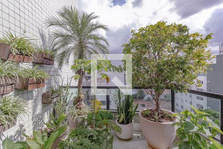 Área comum de apartamento à venda com 3 quartos, 250m² em Cidade Nova, Belo Horizonte