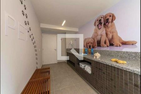 Área comum - Pet de apartamento à venda com 2 quartos, 38m² em Cidade Mãe do Céu, São Paulo