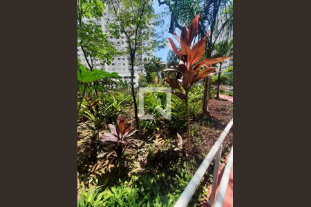 Apartamento à venda com 56m², 1 quarto e 1 vagaÁrea comum