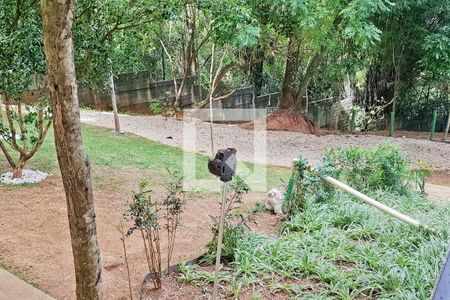 Apartamento para alugar com 67m², 3 quartos e sem vagaEspaço pet