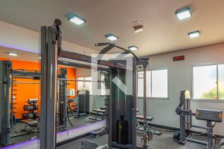 Apartamento para alugar com 50m², 2 quartos e 1 vagaÁrea comum - Academia