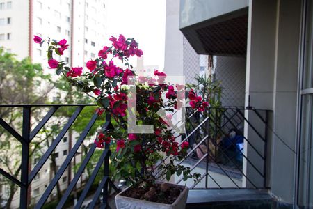 Varanda da Sala de apartamento à venda com 3 quartos, 115m² em Jardim Oriental, São Paulo