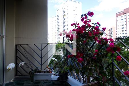 Varanda da Sala de apartamento à venda com 3 quartos, 115m² em Jardim Oriental, São Paulo