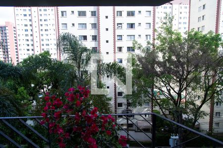 Vista da Sala de apartamento à venda com 3 quartos, 115m² em Jardim Oriental, São Paulo