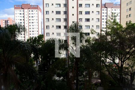 Apartamento à venda com 115m², 3 quartos e 2 vagasVista do Quarto 1