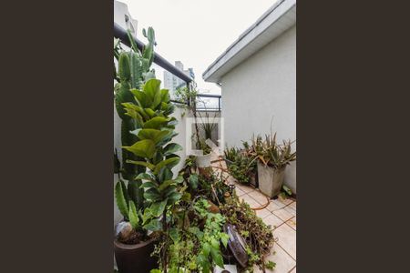 Apartamento para alugar com 240m², 3 quartos e 3 vagas Apartamento para alugar com 240m², 3 quartos e 3 vagasVaranda