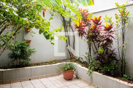 Casa para alugar com 340m², 3 quartos e 2 vagasQuintal