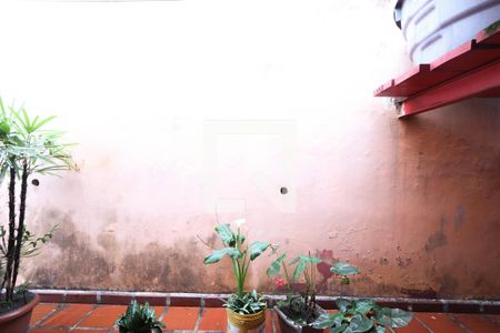 Casa à venda com 430m², 8 quartos e 8 vagasVista - Suíte 1