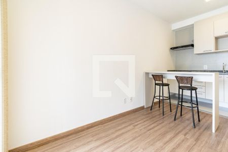 Sala  de apartamento para alugar com 1 quarto, 29m² em Vila Santa Catarina, São Paulo