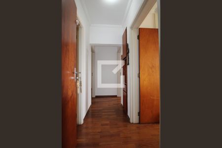 Corredor de apartamento para alugar com 3 quartos, 92m² em Jardim Novo Botafogo, Campinas