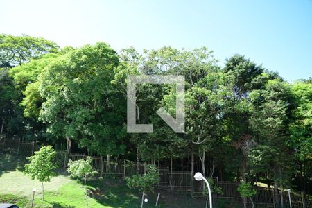 Apartamento para alugar com 35m², 2 quartos e 1 vagaVista do Quarto 2