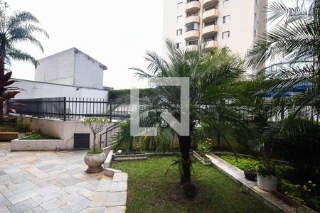 Apartamento para alugar com 80m², 3 quartos e 1 vaga Apartamento para alugar com 80m², 3 quartos e 1 vagaJardim