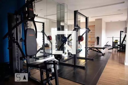 Apartamento para alugar com 53m², 2 quartos e 1 vaga Apartamento para alugar com 53m², 2 quartos e 1 vagaÁrea comum - Academia