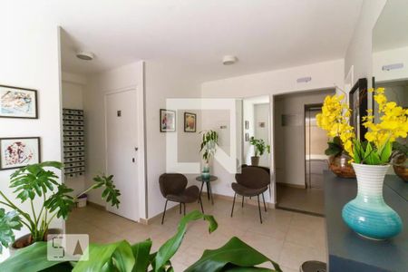 Hall de Entrada de apartamento para alugar com 1 quarto, 34m² em Cambuci, São Paulo