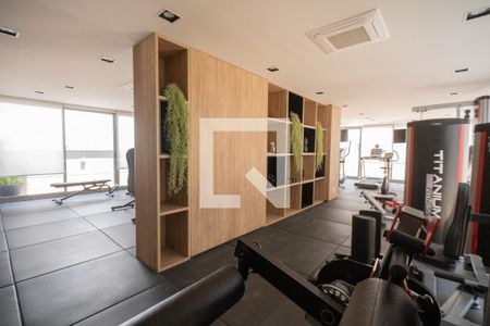 Apartamento para alugar com 42m², 1 quarto e sem vagaÁrea comum - Academia