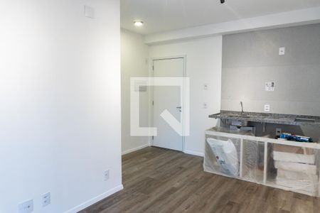 Sala/Cozinha de kitnet/studio para alugar com 1 quarto, 29m² em Vila Santa Catarina, São Paulo