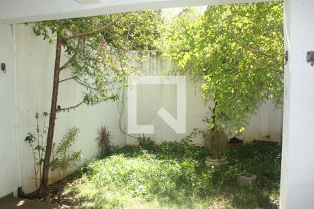 Casa para alugar com 200m², 6 quartos e 2 vagasQuintal