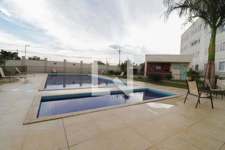 Apartamento à venda com 63m², 2 quartos e 1 vaga Apartamento à venda com 63m², 2 quartos e 1 vagaPiscina