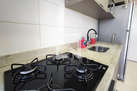 Cozinha de apartamento à venda com 2 quartos, 55m² em Residencial Parque da Fazenda, Campinas