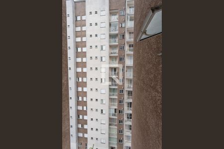 Apartamento à venda com 62m², 3 quartos e 1 vagaVista da área de serviço 