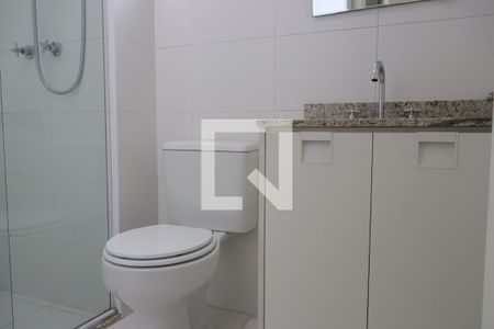 banheiro suite de apartamento para alugar com 2 quartos, 65m² em Vila Guarani (z Sul), São Paulo