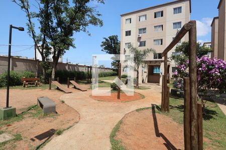 Área comum - Academia de apartamento para alugar com 2 quartos, 45m² em Estância Velha, Canoas