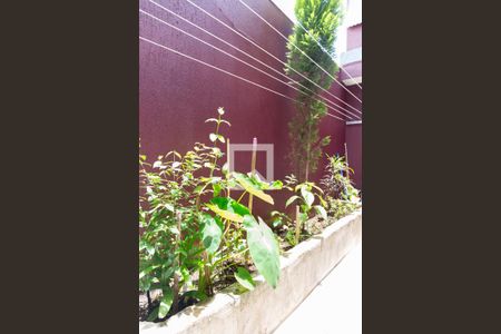 Casa à venda com 225m², 5 quartos e 1 vaga Casa à venda com 225m², 5 quartos e 1 vagaLavanderia/Jardim