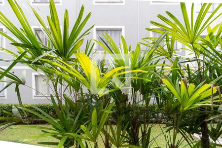 Apartamento para alugar com 50m², 2 quartos e 1 vagaVista do Quarto 2