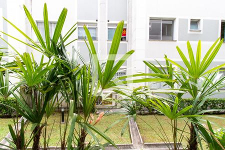 Apartamento para alugar com 50m², 2 quartos e 1 vagaVista