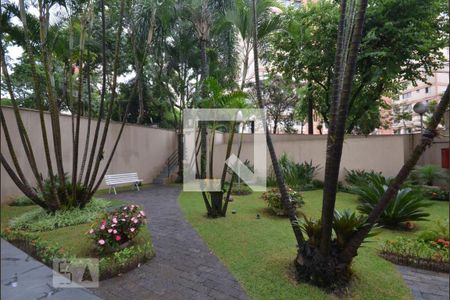 Apartamento para alugar com 50m², 2 quartos e 1 vaga Apartamento para alugar com 50m², 2 quartos e 1 vagaÁrea Verde