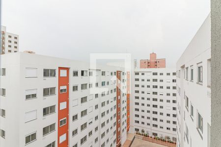 Sala / Cozinha de apartamento para alugar com 1 quarto, 25m² em Vila Butantã, São Paulo