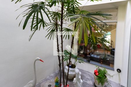 Casa à venda com 440m², 5 quartos e 8 vagasJardim de inverno