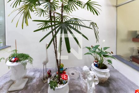 Casa à venda com 440m², 5 quartos e 8 vagasJardim de inverno