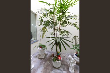 Casa à venda com 440m², 5 quartos e 8 vagasJardim de inverno