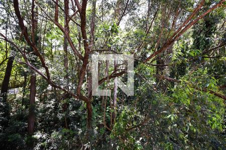 Apartamento à venda com 61m², 2 quartos e 1 vagaVista da suíte